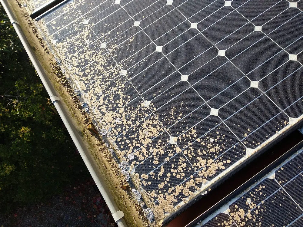 Panneaux solaires sales avant nettoyage — perte de rendement énergétique